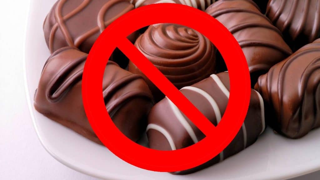 découvrez des conseils pratiques et efficaces pour arrêter le chocolat sans frustration. apprenez à gérer vos envies et à adopter un mode de vie sain tout en vous libérant de cette dépendance sucrée.