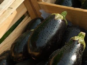 Cuisson de l'aubergine à l'eau : conseils et astuces