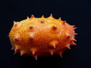 Le kiwano : tout ce que vous devez savoir sur ce fruit exotique