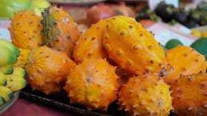 Le kiwano : tout ce que vous devez savoir sur ce fruit exotique